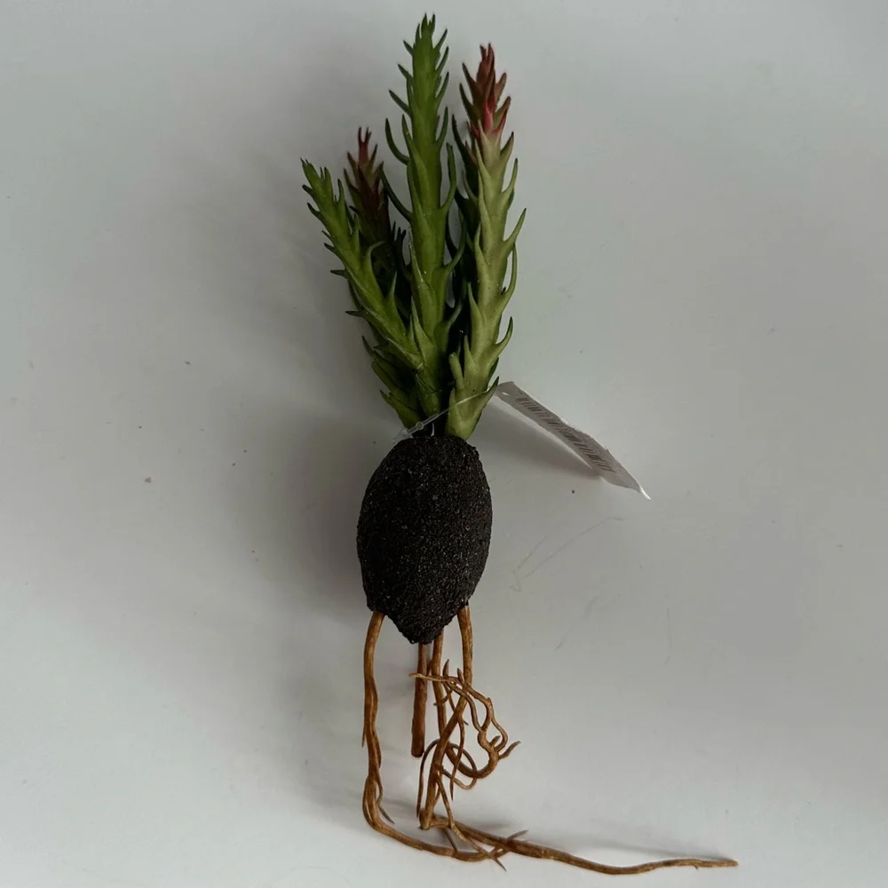 NWT Artificial Hanging Succulent - Small Faux Greenery for Home & Office Decor